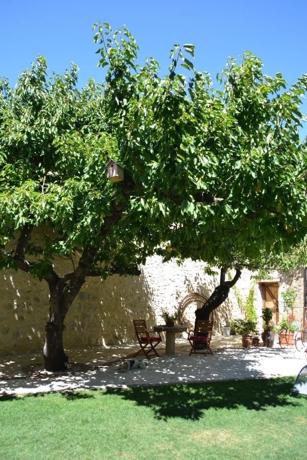 Holidays In Lagrasse Kültér fotó