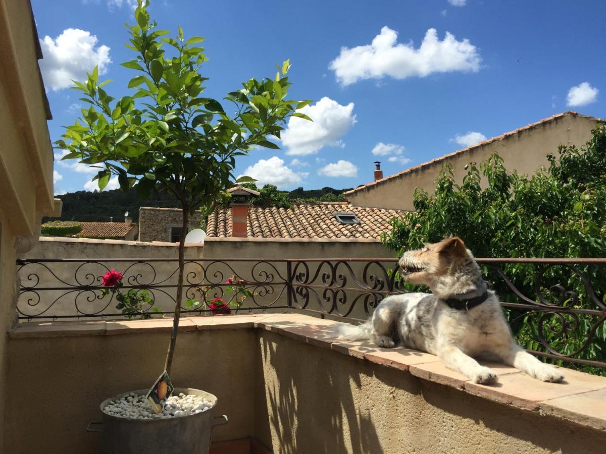Holidays In Lagrasse Kültér fotó